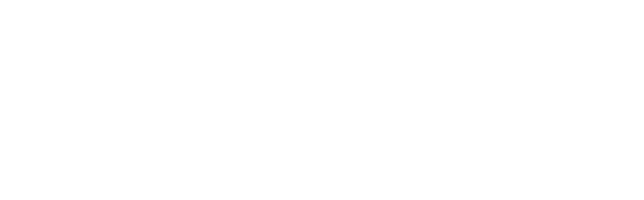 Lonestar Logo