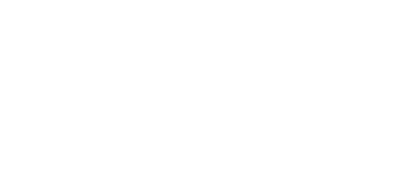 Lonestar Pizza & Grill  Logo